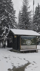 Winter conditions documented in Smolyan forest area