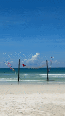 Morning beach activities documented at Ko Phangan, Thailand