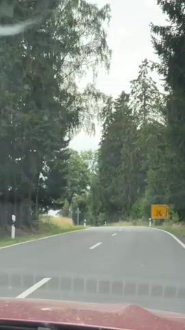 The video shows a view from the inside of a vehicle traveling on a paved road surrounded by trees. On the right side of the road, there is a yellow sign with a red border and a symbol of a person walking with a backpack. The road curves to the left, and the trees on both sides are lush and green. The sky is overcast.