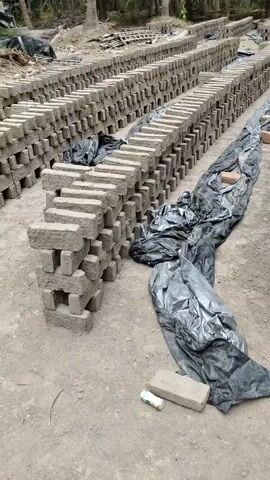 The video shows a large outdoor area with rows of unbaked bricks stacked on the ground. The bricks appear to be made of mud or clay and are arranged in long, parallel lines. Some of the bricks are covered with black plastic sheeting, likely to protect them from the elements or to aid in the drying process. A dirt path runs between some of the brick stacks. In the background, there are trees and foliage, suggesting a rural or semi-rural setting. The overall impression is of a brick-making operation in progress.