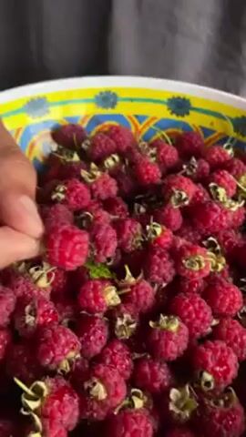 Here's a description of the video:

The video shows a bowl filled with raspberries. A person is then shown placing a gummy candy onto their tooth, creating a gap between their teeth. The person has a mustache and tattoos on their neck. They are wearing a gray t-shirt.