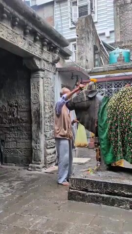 An elderly man in a light brown vest and grey pants stands in front of a stone sculpture of a bull. He is holding a small green leaf and an orange flower in his right hand, offering them to the bull's head. The bull sculpture is adorned with a decorated saddle and what appears to be a garland draped over its back. The man is also holding a light yellow plastic bag in his left hand, which contains several round, light-colored objects. The scene takes place outdoors, possibly in a temple courtyard, with an ancient-looking stone structure to the left of the frame featuring intricate carvings. The ground is wet, suggesting recent rain. A few bells are visible hanging above and behind the bull sculpture.