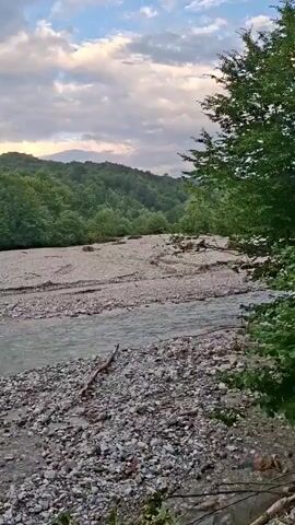 The media file shows a wide, shallow river with a rocky bed and a gentle current. The riverbanks are covered in pebbles and some driftwood. Lush green trees and dense forest line the opposite bank, extending up a gently sloping hillside. In the background, distant mountains are visible, their peaks softened by the haze. The sky is filled with scattered clouds, tinged with the soft light of either sunrise or sunset, suggesting it is either early morning or late evening. The overall mood is peaceful and natural, with a sense of untouched wilderness. No people or explicit objects are identifiable, focusing instead on the natural landscape. The scene is set in a rural or mountainous area, with the provided location context indicating Serzhen-Yurt, Russia.