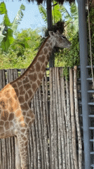 Early morning zoo visit captured diverse wildlife in Đà Nẵng