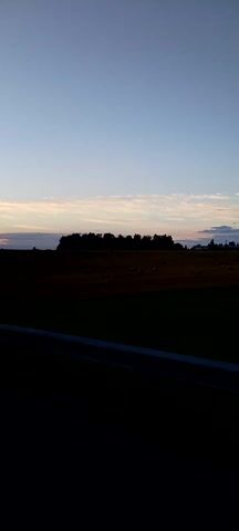 This is a video of a rural landscape at dusk. The camera is positioned as if looking out of a vehicle's passenger side window. To the left, a vast expanse of sky dominates, gradually transitioning from a light blue to a pale orange near the horizon. A few wispy clouds are visible. The horizon line separates the sky from the land below.

The land consists of a large field, primarily golden-brown, indicating it has been harvested. Scattered across this field are numerous round hay bales, varying in size and distribution. Beyond the harvested field, there is a strip of vibrant green grass, likely a pasture or meadow. A line of dark green trees forms a distinct boundary between the harvested field and the grassy area.

In the foreground, a metal guardrail runs parallel to the right edge of the frame, suggesting the presence of a road. The road itself is visible as a dark gray asphalt surface, with a white dashed line marking the lane. The right side of the frame also shows a portion of the vehicle, including what appears to be the side mirror. The lighting suggests the sun is setting, casting a warm, soft glow across the scene. The video is oriented vertically.