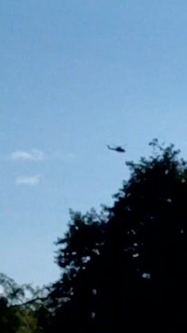 A dark silhouette of a tree is in the foreground. A clear blue sky is above the tree. A small, dark helicopter is visible in the sky, flying above the tree. The helicopter is small in the frame.