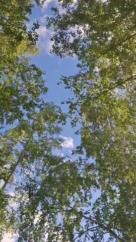 The camera pans down from a view of trees and a partly cloudy sky, to a wide shot of a vibrant green field. A dirt path is in the foreground, with tall grass along its edge. In the distance, a small town can be seen on the horizon under the cloudy sky.