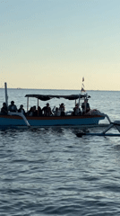 Traditional boats on calm Indonesian waters, mountains in the distance