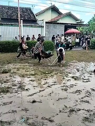 The video shows a traditional Javanese whip fighting game known as “pecut samandiman” being played in a muddy field. The contestants are barefoot and wearing traditional attire. They wield whips and try to strike each other. A crowd of people surrounds the field to watch the competition. The sky is cloudy and there are houses visible in the background.