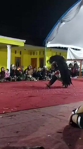 The video captures a lively outdoor performance at night, likely a cultural dance. A performer in a striking costume, featuring a large, dark, shaggy mask with horns and flowing hair, is the central figure. They are adorned in traditional attire with red and black elements. The performer is actively dancing on a red carpeted stage. Scattered red petals are visible on the carpet, suggesting it's part of the performance. In the background, a group of spectators, including adults and children, are seated on the ground, observing the performance. Behind the audience is a building with a bright yellow facade and white pillars, illuminated by lights. A large white tent or canopy is visible overhead, providing a backdrop to the scene. The overall atmosphere appears festive and engaging, with the performance being the focal point under the night sky.