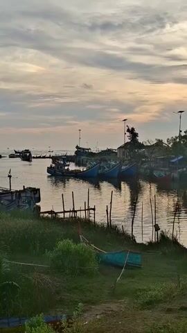 The video displays a tranquil harbor scene at dusk, with numerous fishing boats docked in calm water. The sky is partly cloudy, with the warm hues of sunset casting a soft light. Lush green grass and vegetation line the foreground, leading down to the water's edge where several boats are beached or partially submerged. Tall poles, possibly for lights or mooring, dot the harbor. In the background, more boats are visible, some in motion in the distance. Buildings and trees form a backdrop along the shoreline. The overall impression is one of peacefulness and the quiet end of a day's work for the fishing community.
