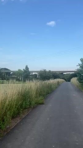A paved pathway leads through a grassy field under a clear blue sky with scattered white clouds. Tall, dry grass lines the left side of the path, while a mown field stretches to the right. In the background, a large, multi-lane bridge spans across the landscape, with trees and greenery visible beneath it. Further in the distance, a dense forest covers rolling hills. The scene appears peaceful and serene, likely captured during a sunny day, possibly late afternoon given the soft light. The overall impression is one of a rural setting, possibly a nature trail or a road leading through the countryside. No people are visible in the frame. The time of day is suggested by the lighting. The presence of a bridge implies infrastructure within a natural setting, hinting at a location like Momberg, Germany, where such landscapes are common.