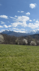 Spring landscape captured in Apriltsi, Bulgaria shows blooming trees