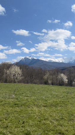 Spring landscape captured in Apriltsi, Bulgaria shows blooming trees