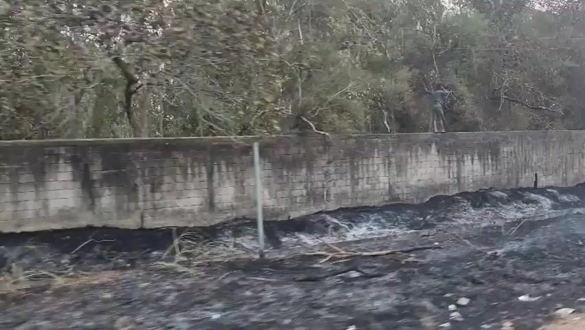 The video begins with a view of a concrete wall with a brick pattern. Beyond the wall, there are trees and vegetation. A person is standing on top of the wall, holding a long stick. The area in front of the wall appears to have been burned, with charred debris and ash covering the ground. As the camera pans, more of the burned area is visible. Two people are seen walking away from the camera in the foreground. One person is wearing a blue headscarf and an orange top, and the other person is wearing a yellow top. The rest of the video shows a continued view of the burned landscape and the concrete wall.