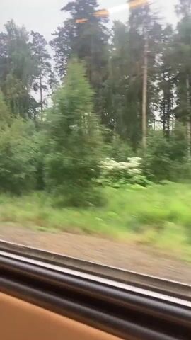 The video shows a view from a train window looking out at a dense forest of green trees, with pine trees interspersed amongst them. The sky appears overcast. The train tracks are visible running parallel to the forest. The camera is moving, indicating the train is in motion.