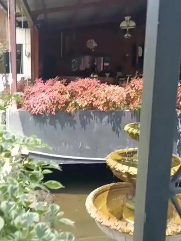 The video shows an outdoor area, possibly a restaurant or cafe, with a fountain in the foreground. The fountain has multiple tiers and water is flowing. Around the fountain, there are planters filled with red and pink plants. In the background, there is a covered seating area with tables and chairs, and lush green plants. The roof of the structure is made of corrugated metal, and there are wooden beams visible. The overall impression is of a relaxing, natural setting.