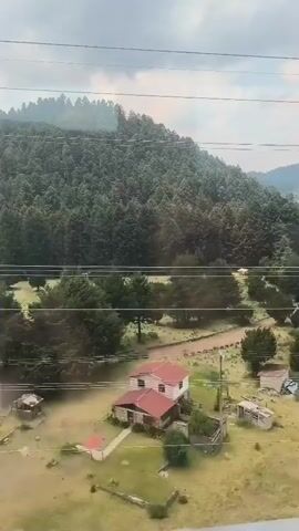 From the moving perspective of a vehicle, possibly a train, the scene unfolds with a verdant landscape outside the window. A hillside densely covered with trees stands in the backdrop, creating a serene contrast against a somewhat overcast sky. In the foreground, a grassy area dotted with trees and a few small buildings hints at human presence amidst the natural setting. Power lines stretch across the sky, adding a layer of infrastructure to the view. The motion of the vehicle causes the scene to blur at times, while reflections in the window reveal glimpses of the interior.