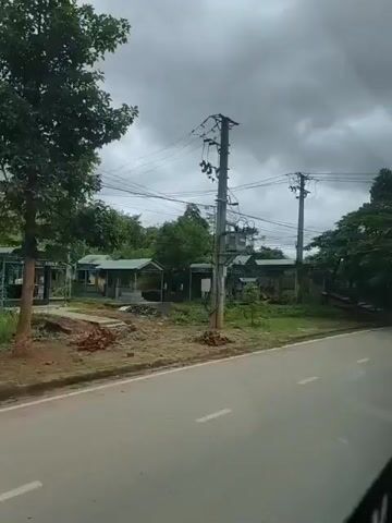 The video shows a view from a moving vehicle on a cloudy day. The vehicle appears to be driving on a paved road with white dashed lines. To the left of the road, there is a grassy area with trees, power lines, and a small building or structure. The trees are lush and green, and some have visible trunks. The sky is overcast with gray clouds. The video captures a short sequence of the passing scenery.