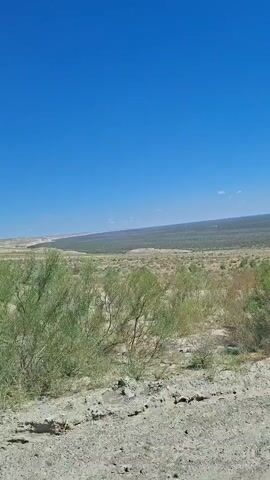 The video shows a dry, arid landscape under a clear blue sky. The foreground consists of dirt and rocks, with sparse, green, shrub-like vegetation. In the middle ground, the vegetation becomes denser and more widespread, appearing as a low-lying scrubland. In the background, a large, undulating hill or mountain range stretches across the horizon, its surface appearing arid and barren. The lighting suggests it is daytime, possibly late morning or early afternoon. There are no people or animals visible in the video. The camera appears to be moving, suggesting the video was taken from a vehicle or while walking.