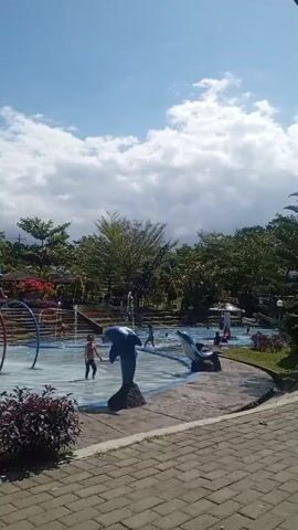 This video shows an outdoor water park with a shallow pool. There are several people in the pool, including a child standing near a blue dolphin statue. Another blue dolphin statue is visible in the pool, as well as a white mushroom-shaped structure. Trees and foliage surround the pool area, and the sky is blue with scattered clouds. The ground is paved with brick-like stones.