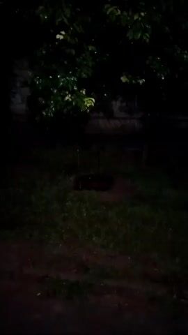 The video displays a dark, outdoor scene with noticeable rain falling. In the foreground, a patch of grass is visible, with some blurry foliage above and to the left. As the video progresses, the camera appears to be moving, potentially from a vehicle, as indicated by the motion blur. A blue inflatable pool becomes visible under a tree canopy. Further along, a close-up shot shows rain falling from what appears to be a roof overhang, with dark foliage in the background. The lighting suggests it is nighttime or very early morning.
