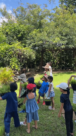 Rice planting day with kids at a Ban Pa Tio paddy