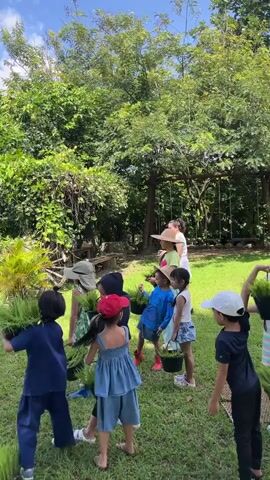 A group of children are gathered in a grassy outdoor area, holding buckets of small green plants. They appear to be participating in a gardening or planting activity. The children are of various ages and are dressed in casual clothing, with some wearing hats. Several adults are also present, supervising the children and assisting with the plants. The environment is lush and green, with trees and foliage visible in the background. The sky is blue with some clouds. One adult, a woman, is holding a baby on her hip. The children seem engaged and attentive.