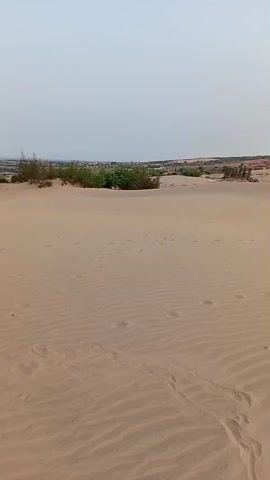 The video shows a desert landscape under a hazy sky. The sand is light brown and covered in ripples and footprints. In the distance, there are patches of green vegetation and a small mountain. The wind appears to be blowing.