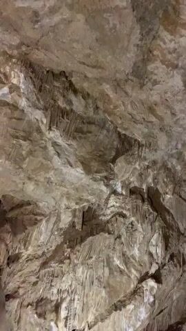 The camera pans upward in a cave. The ceiling is rock, and stalactites hang down in front of a large stalagmite formation. The location appears to be humid.