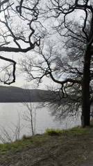 Grayscale lake landscape with bare trees recorded in UK