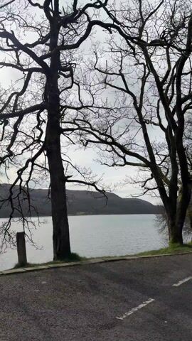 The camera pans across a grayscale landscape of a lake framed by bare-branched trees. Hills are visible in the distance across the water. A paved road runs along the edge of the lake, separated by a low stone wall. The sky is overcast, contributing to the monochromatic palette. The trees are leafless, indicating a cold season. The water is still, with a faint ripple effect. The camera movement is slow and deliberate, showcasing the serene and somber scenery.