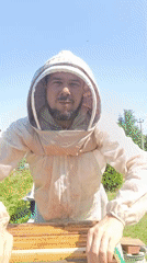 Beekeeper conducts morning hive inspection in Motyakovo, Russia