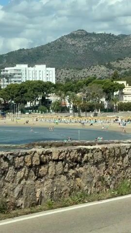 The video captures a static, wide shot of a bustling beach scene on a sunny day. In the immediate foreground, a textured, rough-hewn stone wall topped with sporadic green foliage runs horizontally across the lower third of the frame, separating the viewer's perspective from the coastal activity. Below the wall, a strip of grey road pavement is visible. Beyond the wall, a sandy beach is densely populated with numerous individuals. Many colorful beach umbrellas, predominantly light blue and green, are scattered across the sand, accompanied by lounge chairs. People are seen walking, standing, and sunbathing on the beach. The ocean water, a calm blue-green hue, stretches in front of the beach, with several individuals swimming or wading. Further inland, behind the beach, a collection of buildings is visible. To the left, multiple tall, white, multi-story structures, likely hotels or apartment complexes, stand prominently. To the right, smaller, lighter-colored buildings with reddish roofs are nestled among lush green trees, including several palm trees. In the far background, a large, dark green mountain range dominates the horizon under a sky featuring both blue patches and scattered white clouds.