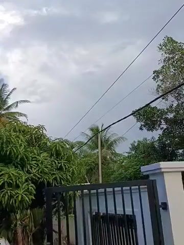The video shows a view from behind a black metal gate of a house, looking out towards trees and a cloudy sky. There is a palm tree visible in the center of the frame. A car is partially visible on the left side of the frame, and power lines stretch across the top of the view. The gate has white pillars on either side.