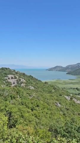 The video shows a panoramic view of a vast body of water, likely a lake, surrounded by rolling green hills and mountains under a clear blue sky. The water appears calm with a greenish hue, and patches of lush green vegetation, possibly reeds or marshland, are visible along its edges. The hills in the foreground are densely covered with trees and bushes, giving a sense of a wild and natural landscape. In the distance, the mountains rise in layers, their slopes also covered in vegetation. The scene is illuminated by bright daylight, suggesting a sunny day. There are no visible people or man-made objects in the immediate vicinity that are clearly discernible, enhancing the impression of a serene, natural environment.