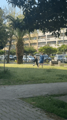 Children play in sunny Bar Montenegro park, cat rests