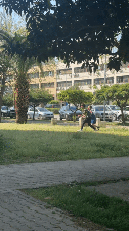 Children play in sunny Bar Montenegro park, cat rests