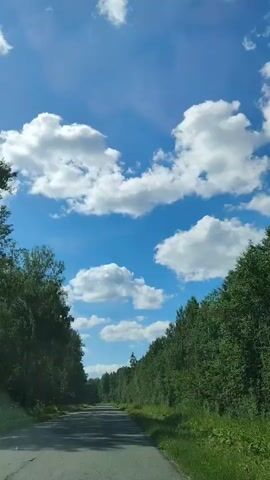 This is a point-of-view video taken from inside a vehicle driving on a paved road. The road is lined on both sides with dense green trees. The sky is a bright blue with fluffy white clouds. The video captures the movement of the vehicle along the road, with the trees and sky passing by. There are no people or other objects visible in the video besides the road, trees, and sky. The lighting suggests it is daytime and sunny.