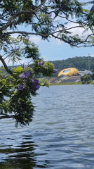 Early morning lakeside scenes captured at Da Lat tourist area