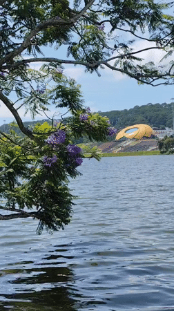Early morning lakeside scenes captured at Da Lat tourist area