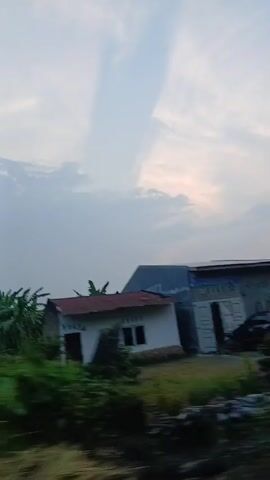 The video captures a view of a rural landscape, likely during the late afternoon or early evening, as indicated by the soft, diffused light. The sky is predominantly a pale blue, with wispy white clouds scattered across it. A prominent vertical cloud formation, appearing as a long, slender streak of light, draws the eye towards the upper portion of the frame.

In the mid-ground, a modest white building with a reddish-brown roof is visible, partially obscured by lush green foliage. Adjacent to it, a smaller structure, possibly a shed or an older dwelling with a dark roof and brick walls, stands nearby. Various types of vegetation, including banana trees with their broad leaves and other dense green plants, dominate the lower and middle sections of the scene, creating a feeling of an untamed, natural environment. The foreground is blurred, suggesting the video was recorded from a moving vehicle, adding a sense of transient observation to the otherwise static landscape.