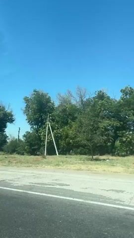The video shows a view from a moving vehicle, likely a car, looking out at a roadside scene. The sky is clear and blue, indicating daytime. On the right side of the frame, there are several trees with green foliage, some appearing tall and slender, while others are more broad. A white utility pole with some wires is visible amongst the trees. The road itself is visible in the foreground, with a grey surface and white lane markings. The background beyond the trees appears to be a flat, open landscape. The overall impression is of a rural or semi-rural setting on a sunny day.