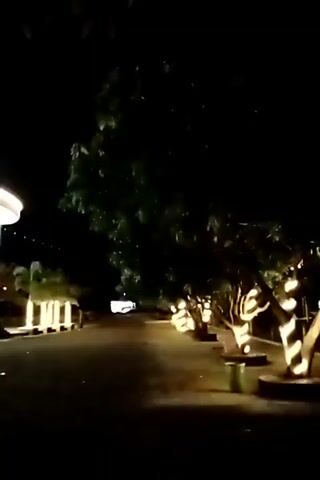 The video shows a white, rounded building at night, illuminated with lights. There's a paved walkway leading to the building, lined with trees and small plants decorated with lights. The sky is dark, and the overall lighting creates a soft, ambient atmosphere.