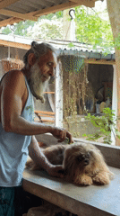 Morning scenes captured in Ahangama, Sri Lanka