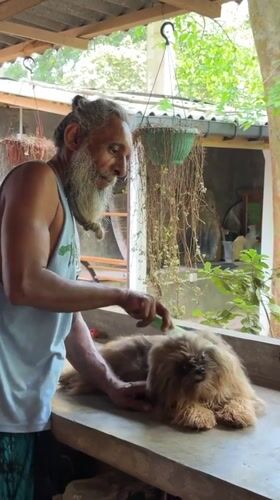 Morning scenes captured in Ahangama, Sri Lanka