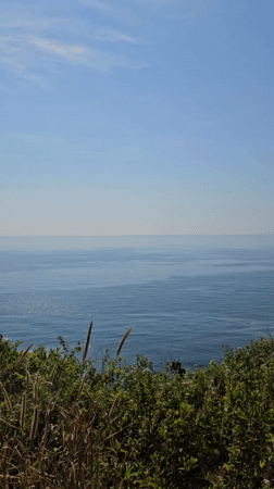 Coastal views documented at Vietnam heritage site