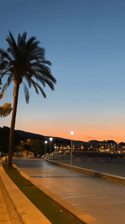 Palmanova promenade at dusk, cat and all