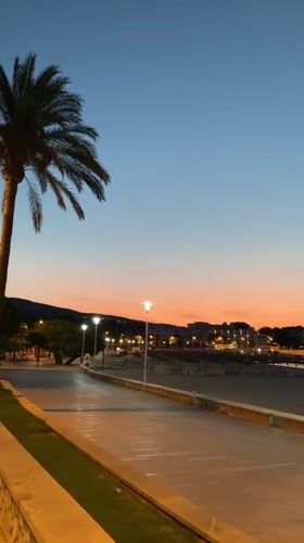 Palmanova promenade at dusk, cat and all