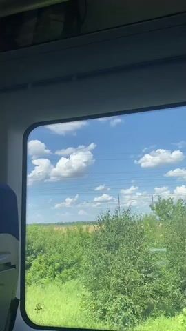 The video shows a view from inside a train moving through a rural landscape. The window reveals a bright blue sky with fluffy white clouds. Below the sky are power lines supported by poles. In the middle ground, there is a field of golden crops, likely wheat or barley, bordered by lush green trees and vegetation. The perspective suggests the train is traveling forward, as the landscape outside the window appears to be moving. The interior of the train is visible in the foreground, with a dark blue and black seat on the left side. The overall scene is one of a sunny day in the countryside, viewed from the comfort of a moving train.